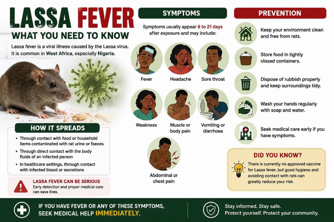 Lassa fever in Nigeria: 7 warning signs you should never ignore